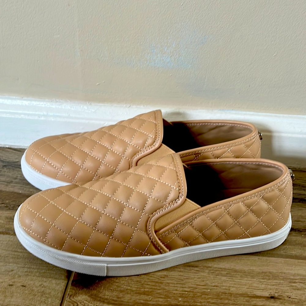 Steve Madden Ecentrcq